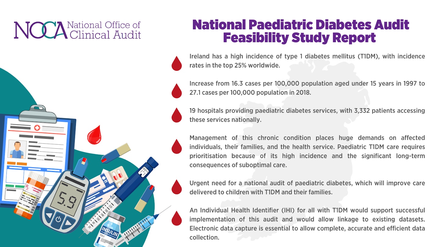 Key Findings of the National Paediatric Diabetes Audit Feasibility Study Report
